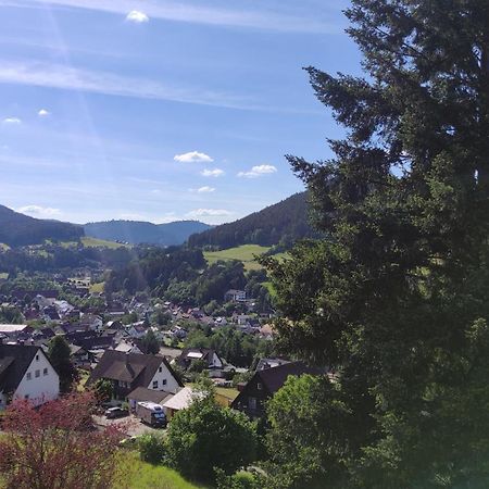 Traumblick Fewo Mit Pool Baiersbronn Exterior photo