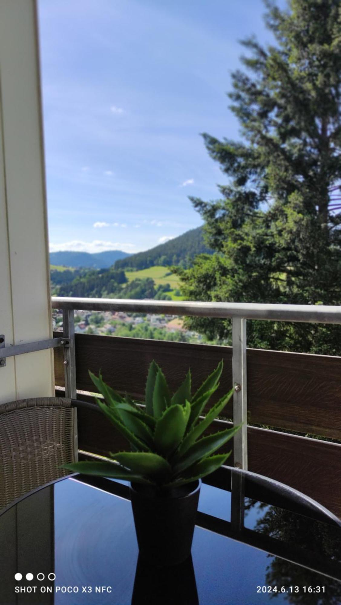 Traumblick Fewo Mit Pool Baiersbronn Exterior photo